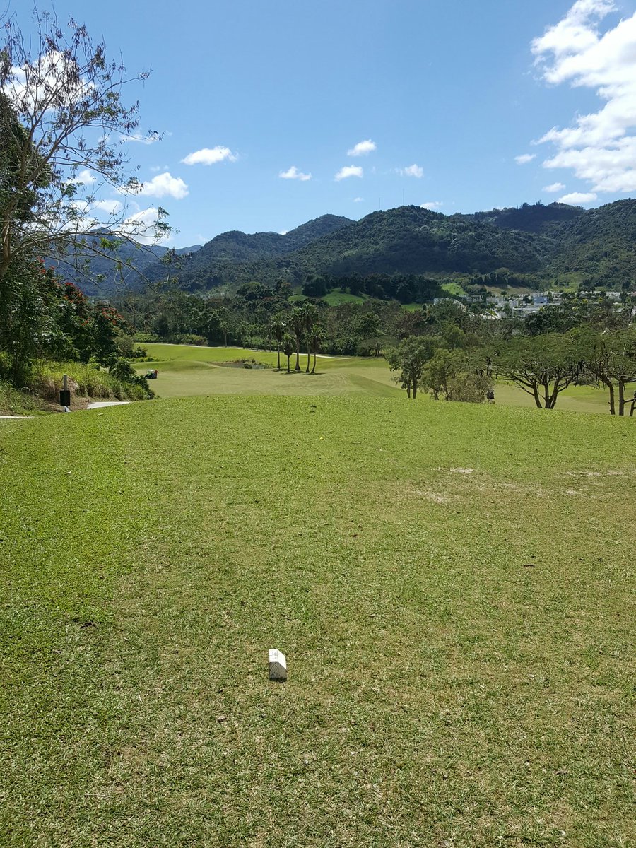 GolfersGeek's tweet photo. https://t.co/iVISpaRji2