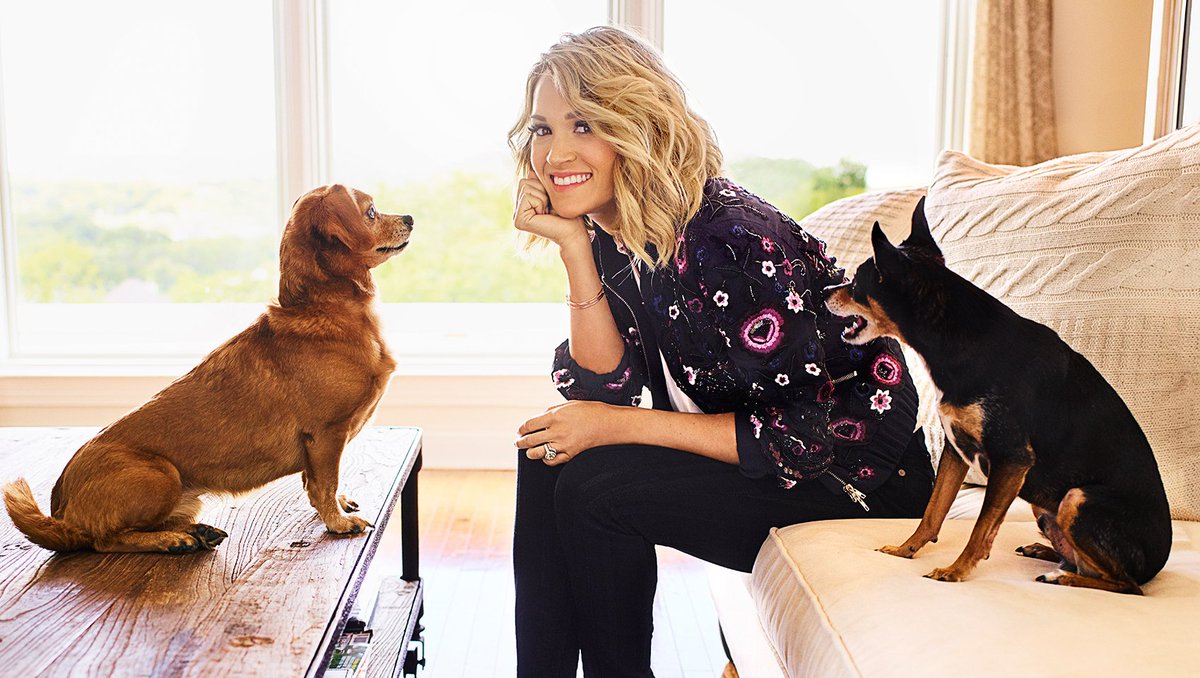 carrieunderwood's tweet photo. Today is #NationalLoveYourPetDay !!! And my sweet Ace and Penny Jean are pretty hard NOT to love! #rescuedogs #adopt #SpayAndNeuter https://t.co/4WkqqU0okE