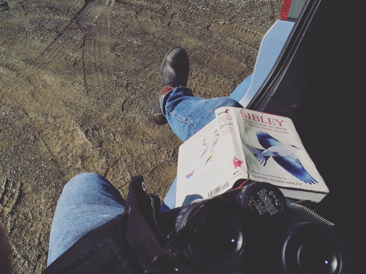 leonerob's tweet image. My parents think I&apos;m at the library. 

#libraryisclosed #FamilyDay GBBC2017 #ONgreenbelt