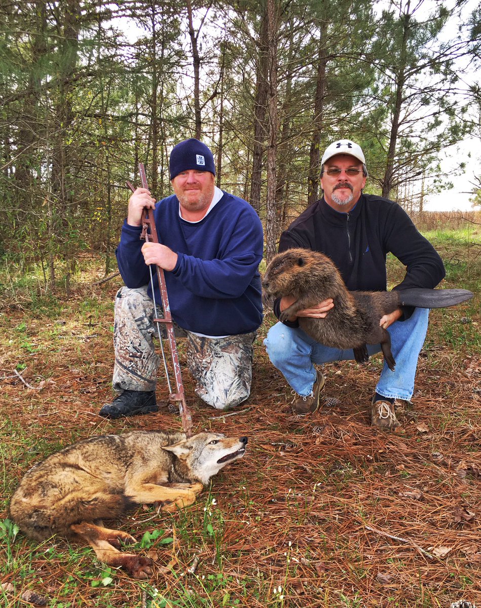 matthewlshell's tweet image. Mike Shell &amp;amp; I with a couple today. He caught a yote &amp;amp; mine was the beaver. Checkin traps is the same feeling as being a 10 year old on XMas