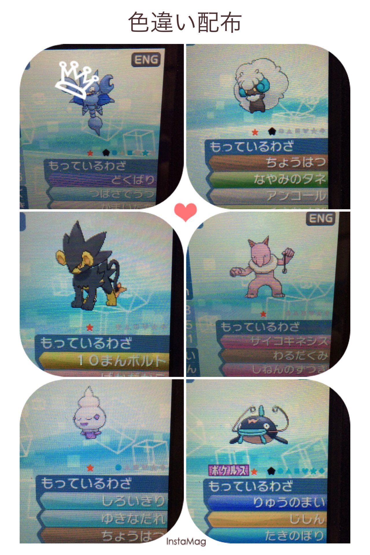 ライデン ポケモン垢 Raiden Blaziken Twitter