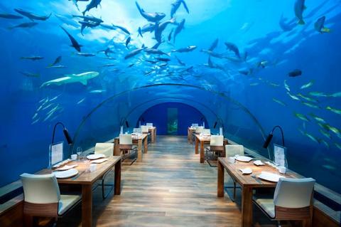 LugaresConMagia's tweet photo. 🇲🇻 Rangali Island, Maldivas
En el lujoso hotel Conrad Maldives Rangali podrás cenar sumergido a más de 5 metros de profundidad. https://t.co/Fyu4Xgwenl