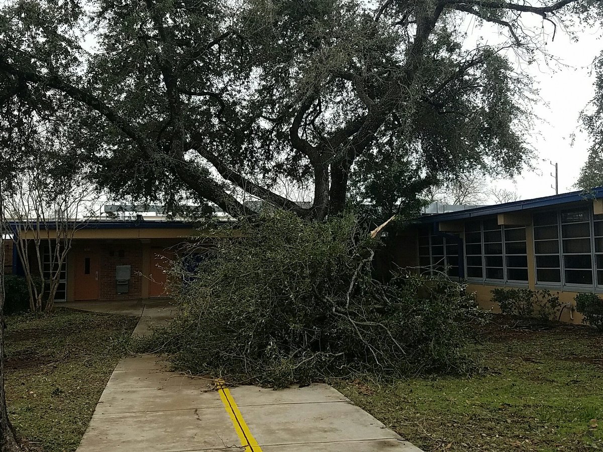 chadbelfordITS's tweet photo. Storm damage to trees at Garner Middle School. @neisd @garnermslibrary #garnerms #yearlingpride @neisditech https://t.co/r9aJB0cew9