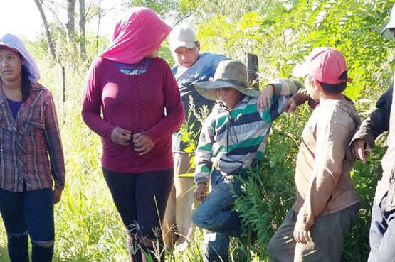 nelsonvilca's tweet photo. Denuncian trabajo en negro e infantil en campos tabacaleros del Chaco https://t.co/IQWOr9HWeL https://t.co/AogSyrZNWm