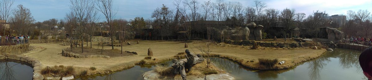 cincygreghoodin's tweet photo. It's a Bea-U-Tiful day and a #ZooTiful day here in @CityOfCincy @CincinnatiZoo https://t.co/u8sQ1U4ErG