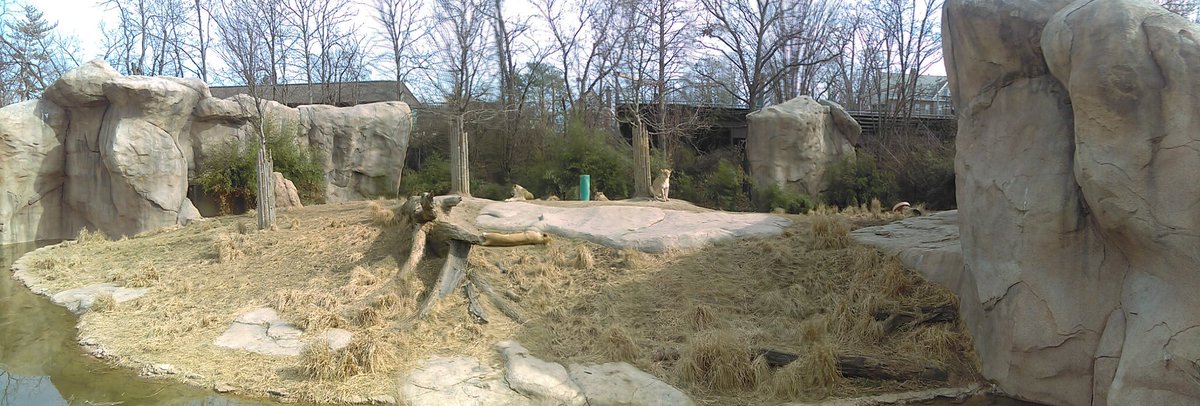 cincygreghoodin's tweet photo. It's a Bea-U-Tiful day and a #ZooTiful day here in @CityOfCincy @CincinnatiZoo https://t.co/u8sQ1U4ErG