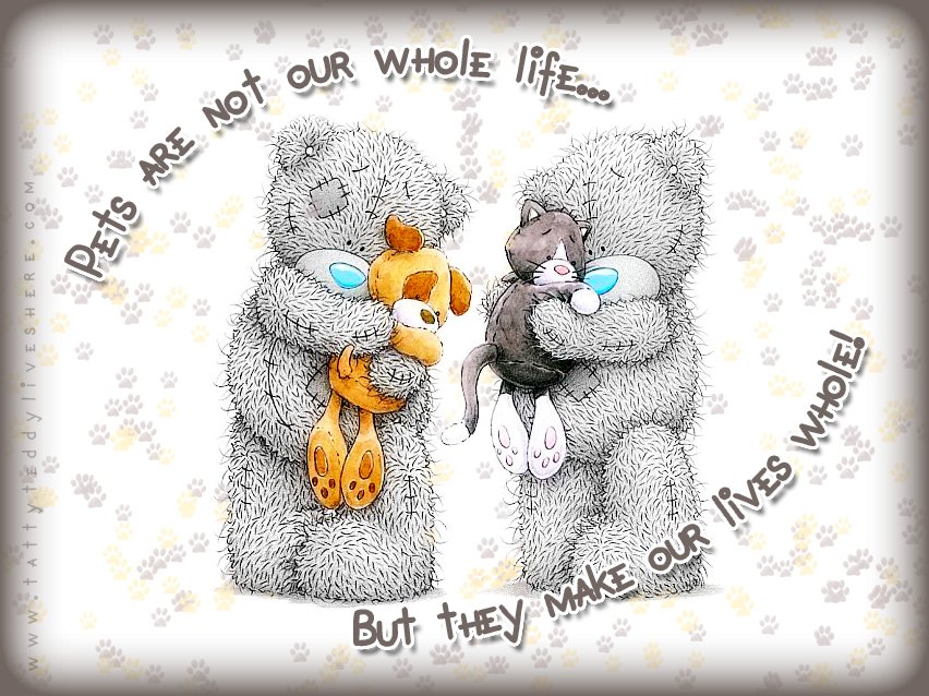 TattysTweets's tweet photo. 🐶🐱🐰 It's 'Love Your Pet Day' today! 🐰🐱🐶
Make sure you give your pet some extra love today!
#LoveYourPetDay #PetLove #MetoYou #TattyTeddy https://t.co/Ux0pZDnlXP