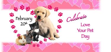 PawsPeopleSWFL tweet picture