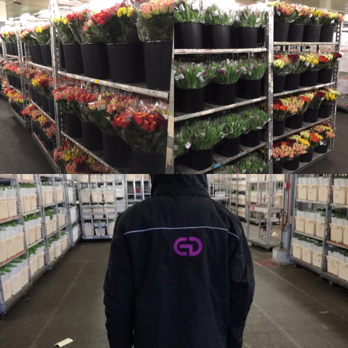 EddGroup's tweet photo. Vrouwendag voorbereiding @DRC Flor https://t.co/RAUFQPoQXs