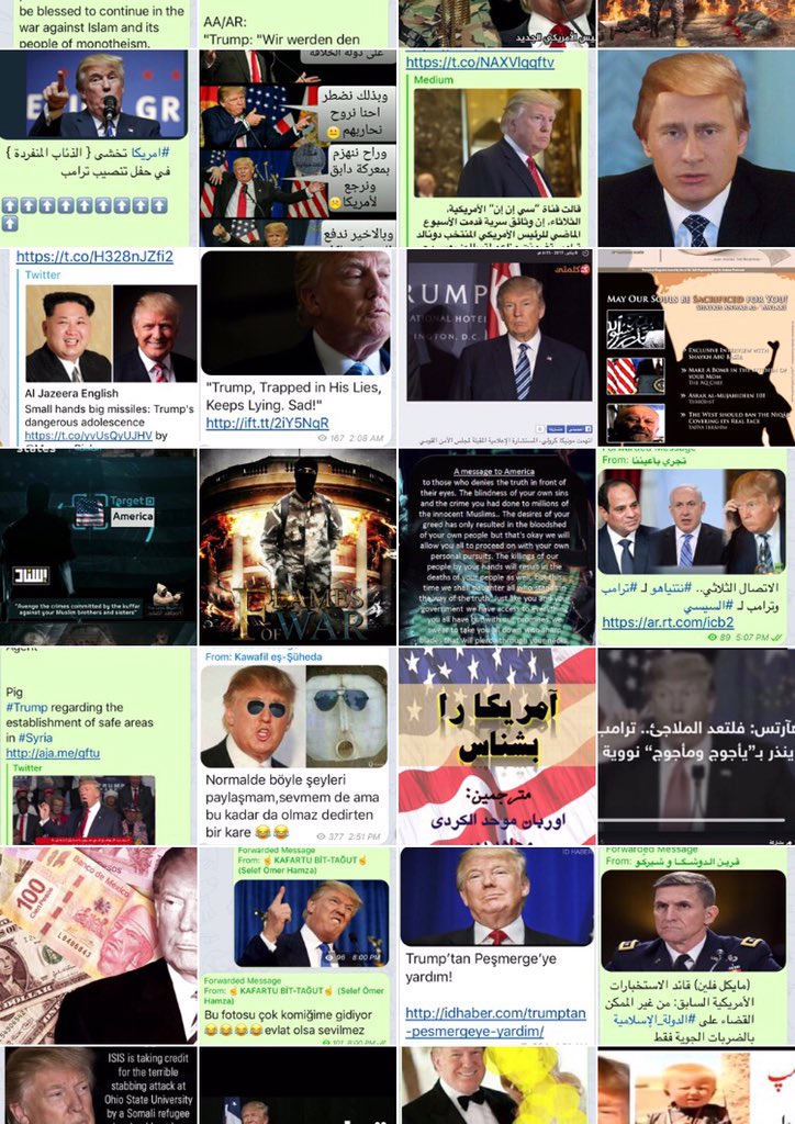 MBiznezz's tweet photo. @FlatHollowEarth Not even an 8th of it. https://t.co/W1tW5dQD9G