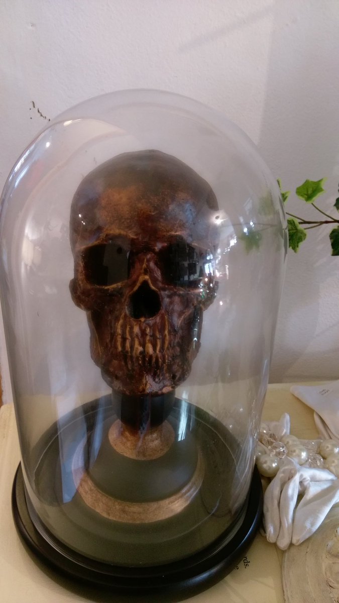 New arrivals! #skullcandy #eccentric #interiorstyle - unique #home #accessories #interiordesign