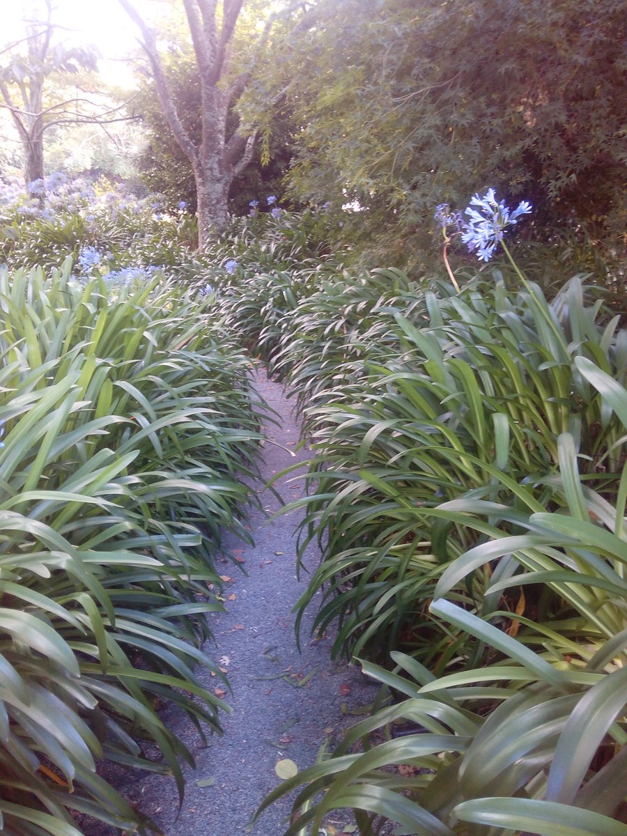 nbpsolutions's tweet image. Our path is clear even when our destination is unknown