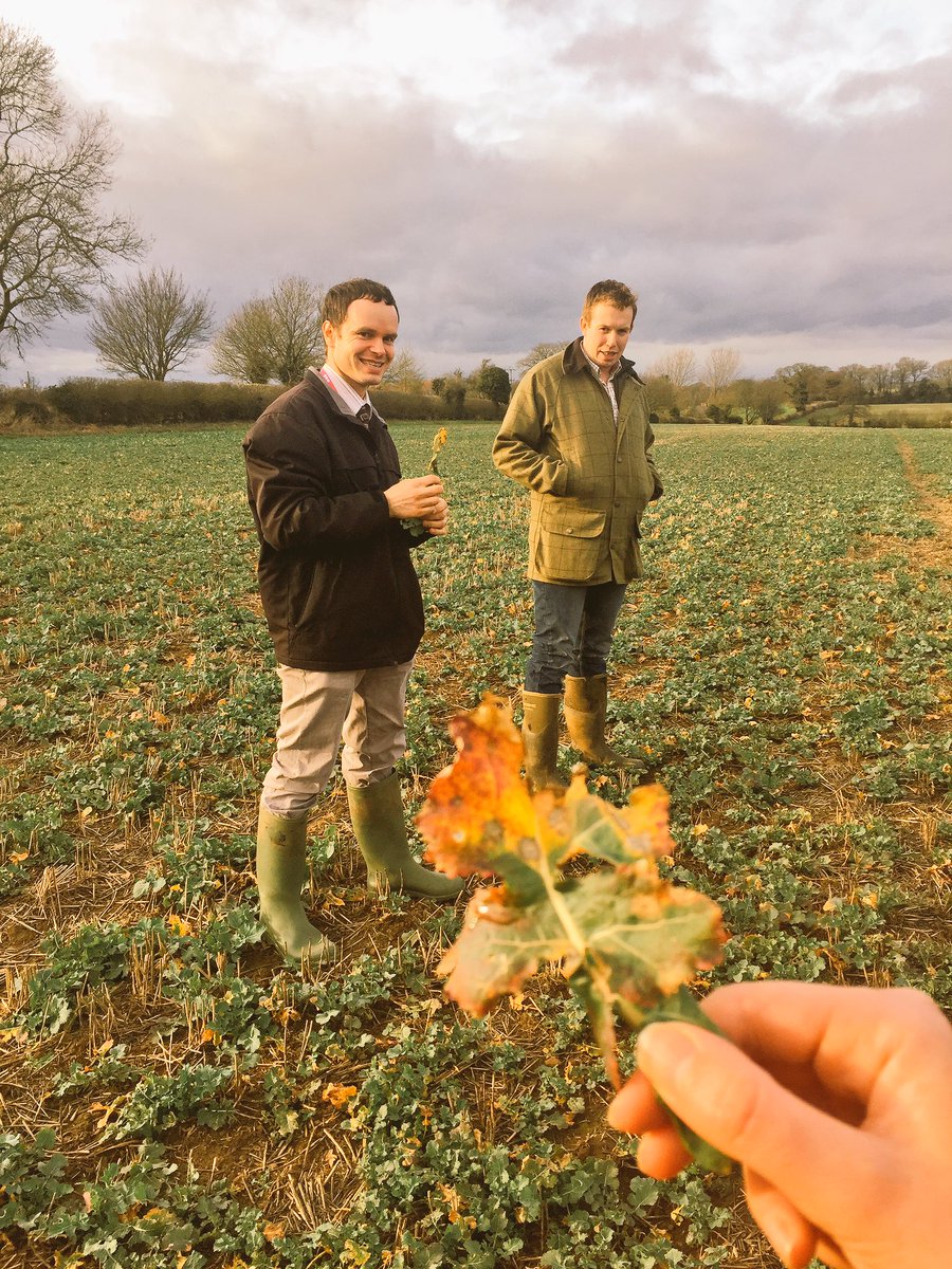 A great day <a href="/MoultonCollege/">Moulton College</a> on the <a href="/BASISRegLtd/">BASIS Reg Ltd</a> Foundation in Agriculture. #DronesInAgriculture