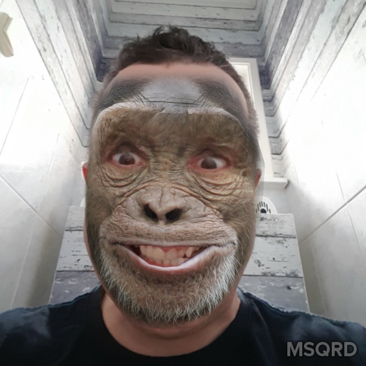 vincounnet's tweet image. Lg