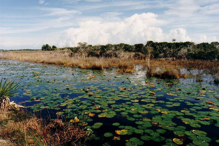 VisitStLucie's tweet photo. It's Florida Hiking Trails Month. Come take advantage of our gorgeous nature trails in St. Lucie. #fhtm #LoveFL https://t.co/Uiobjrv4wt