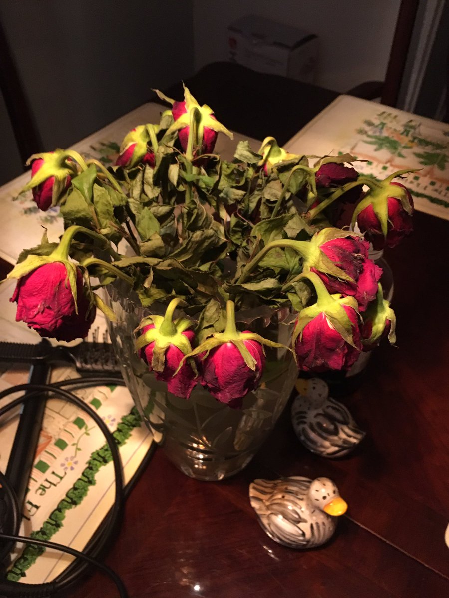 bennyh1977's tweet photo. @prestigeflowers flowers dead after 4 days!!! Not impressed at all #fullrefund #valentinesday2017 #shoulduse #interflora https://t.co/KzDutAlATG
