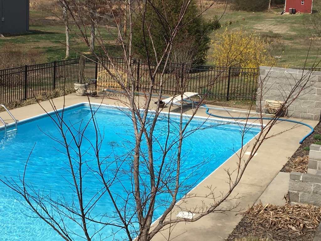 SusanBSellers's tweet photo. Enjoying the day working outside with Tim. #yellowbelles #prettypool #lotsofsunshine ☀️ https://t.co/4fOVpBgO9e
