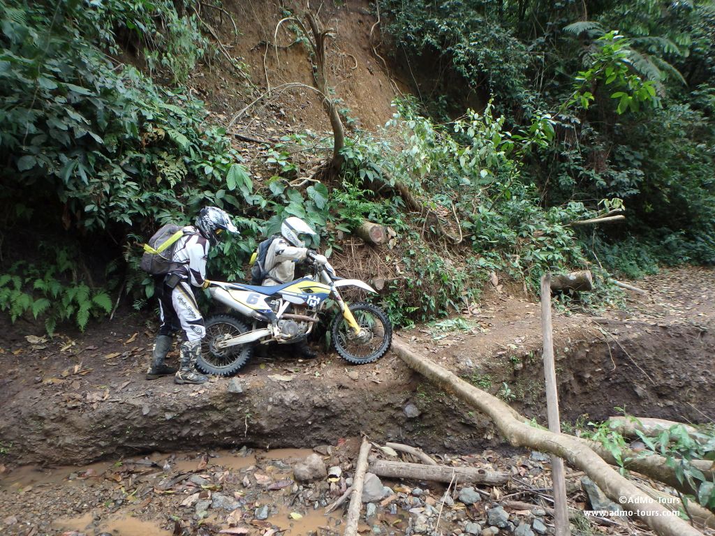 AdMoTours's tweet image. Read more about the Costa Rica tour in our blog. Click here and check it out: ow.ly/2XNd309brgj