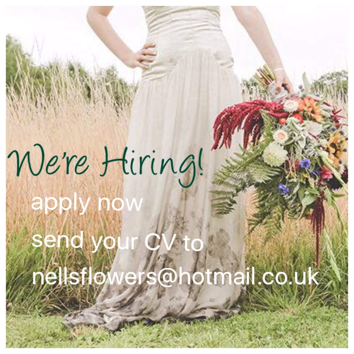 We are looking for an experienced florist to join our team! Must have references and also use of their own vehicle #velvetstormphotography
