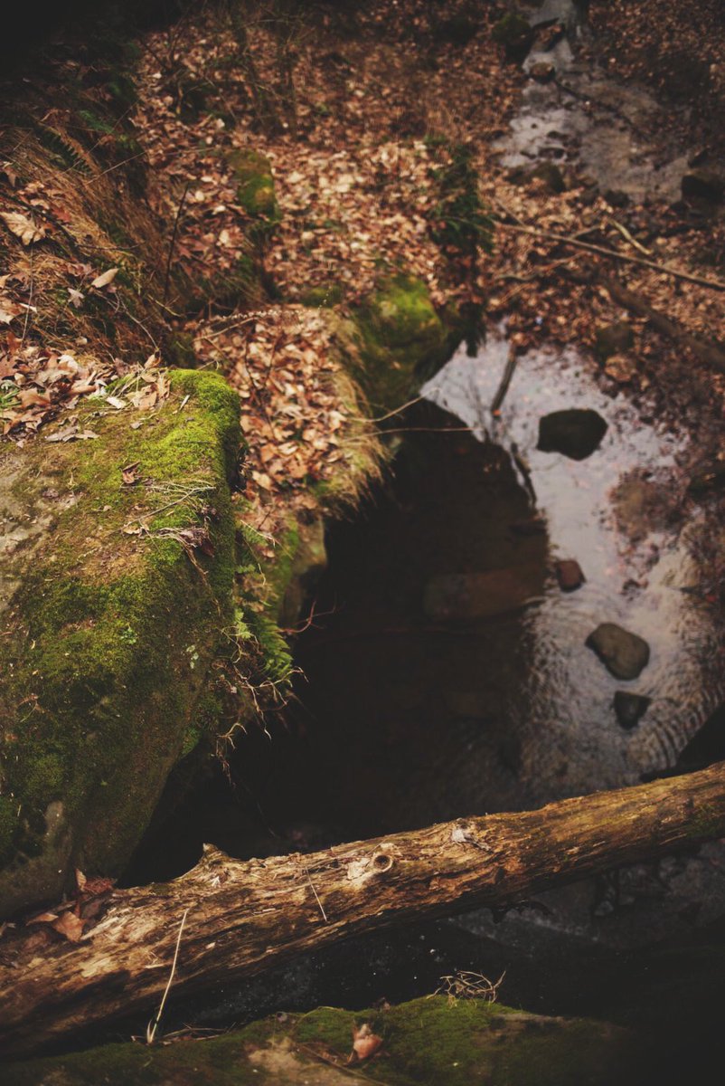 MartinDigital's tweet image. #Monday adventures #sonya7rii