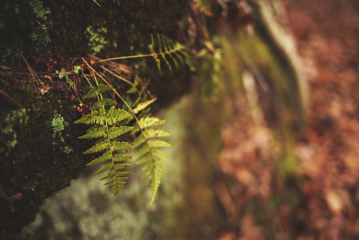 MartinDigital's tweet image. #Monday adventures #sonya7rii