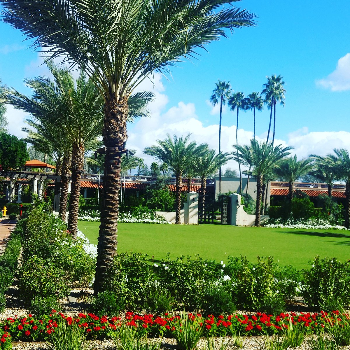 SWHPN's tweet image. Lunchtime view. #swhpn17