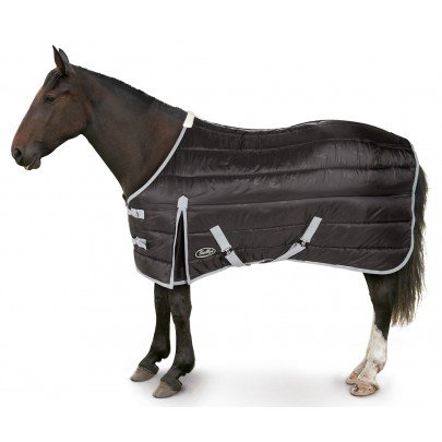 bighorserugco's tweet photo. #HorseHour Don't miss my Winter Clearout offers #Maverick #StableRug reduce to £22, get them while you can! https://t.co/2fwjPyZNyj https://t.co/MeZIwLOdQ8