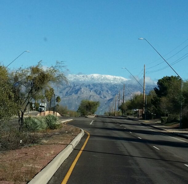 PattiCStyx's tweet photo. There may be snow on the mountains Outside, but Inside: #SpringHasSprung!
#PepperidgeFarm #SpringPackages https://t.co/x5GhggUexc