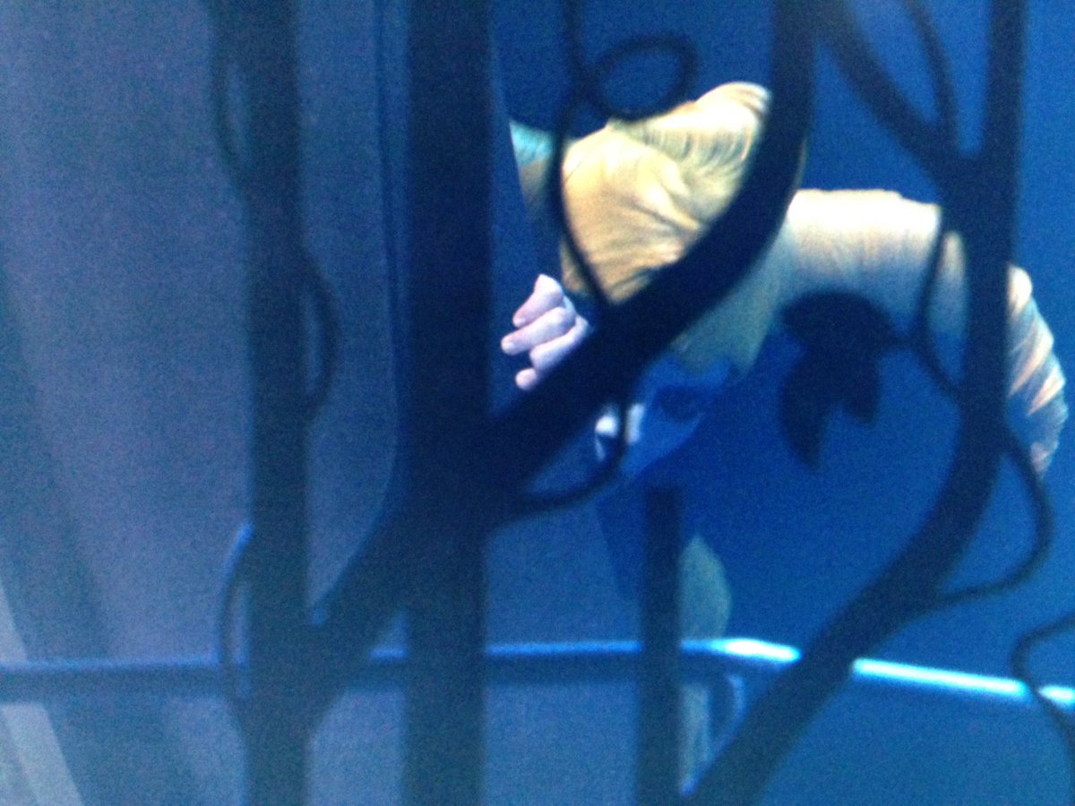 Nicolas Auboyneau tweet media