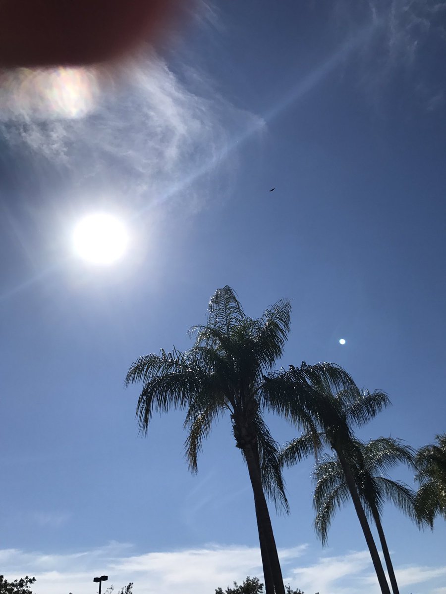thegsxrkid's tweet photo. From New York but you can keep it. I'm dunzo with it.
#thatFLlife
In February...βοΈβοΈπ΄π΄ https://t.co/wJ8arz5fUm