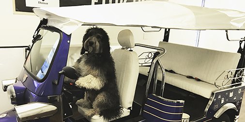 eTukUSA's tweet photo. People and #dogs alike love driving (and riding!) in a #tuktuk. Get yours --> https://t.co/rTFyYMGYh9 #NationalLoveYourPetDay https://t.co/KsTjPmiLjV