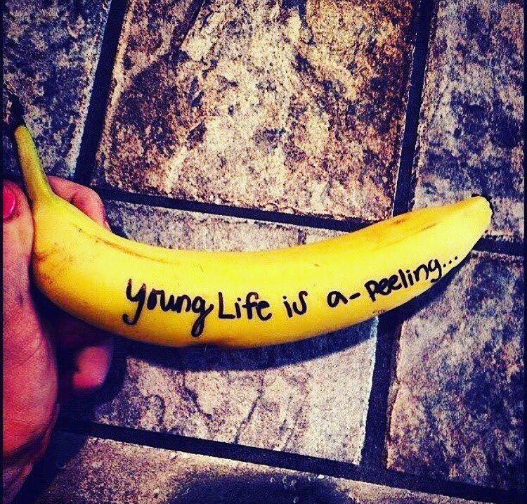 Houston Young Life tweet media