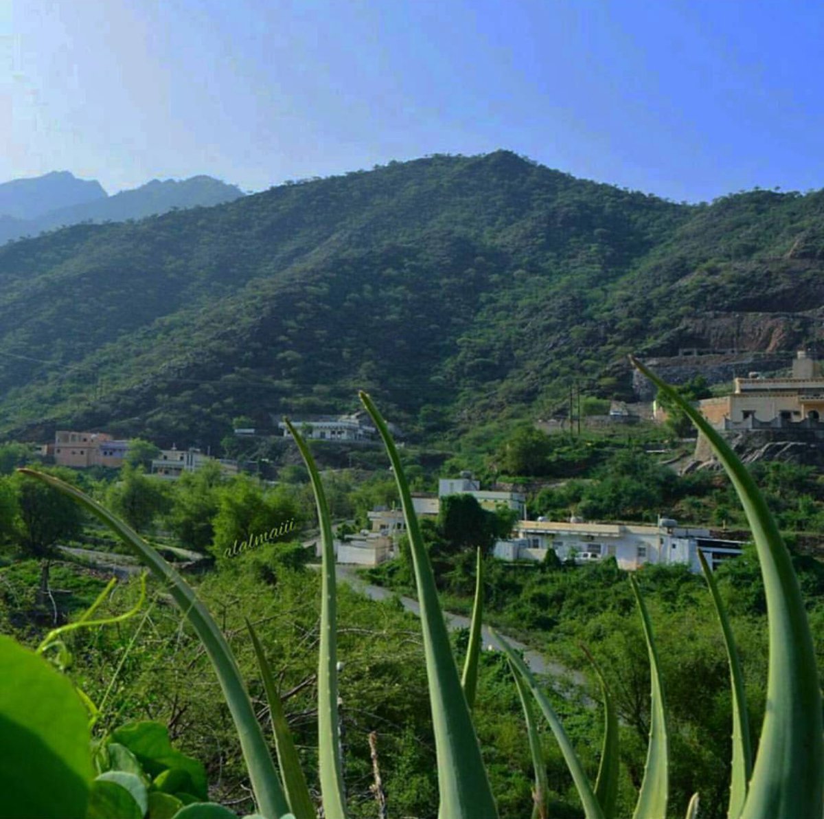 🔴لقد استوعب الغرب والشرق الدروس العظيمة التي يحويها أسبوع الشجرة، فأعد لها العدد وشكل لها اللجان والمتطوعين للقيام بحملات التوعية اللازمة.