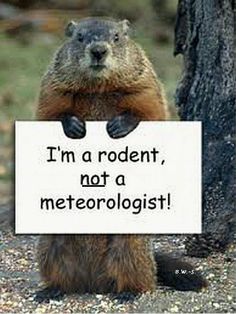 StarmountForest's tweet photo. Temps in the 60s and 70s forecast for the next two weeks? So much for six more weeks of winter... https://t.co/LZ0sp34pTo