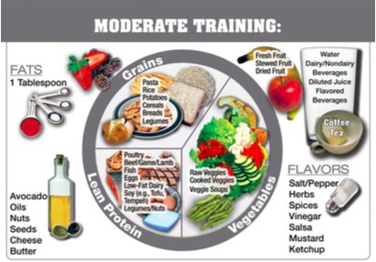 FDUknightsSN's tweet photo. On a normal practice day, your plate should be divided evenly between lean proteins, whole grains and fruits/veggies for maximum efficiency https://t.co/HLvwDsFNKj