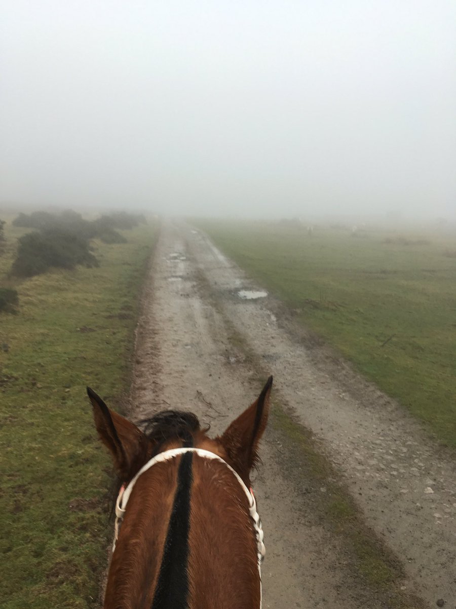 GHirst01's tweet photo. I haven't missed riding out in weather like this #novisability #offroadday #peasoup https://t.co/dcxk5vzFeU