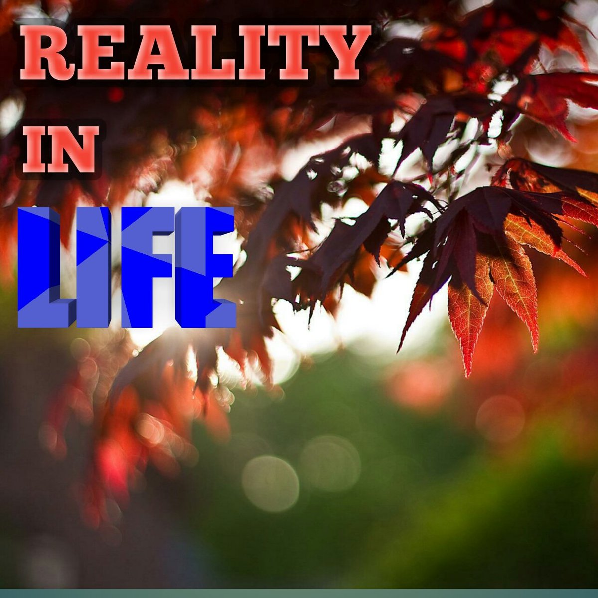 GUIDINGTECH1's tweet image. youtu.be/Ynz1XhGTe-c