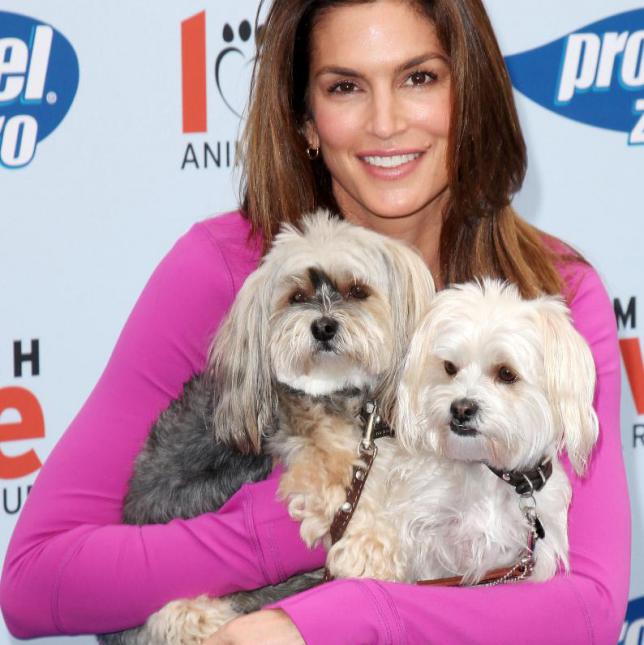 Happy birthday to actor, humanitarian, designer and supermodel Cindy Crawford!  