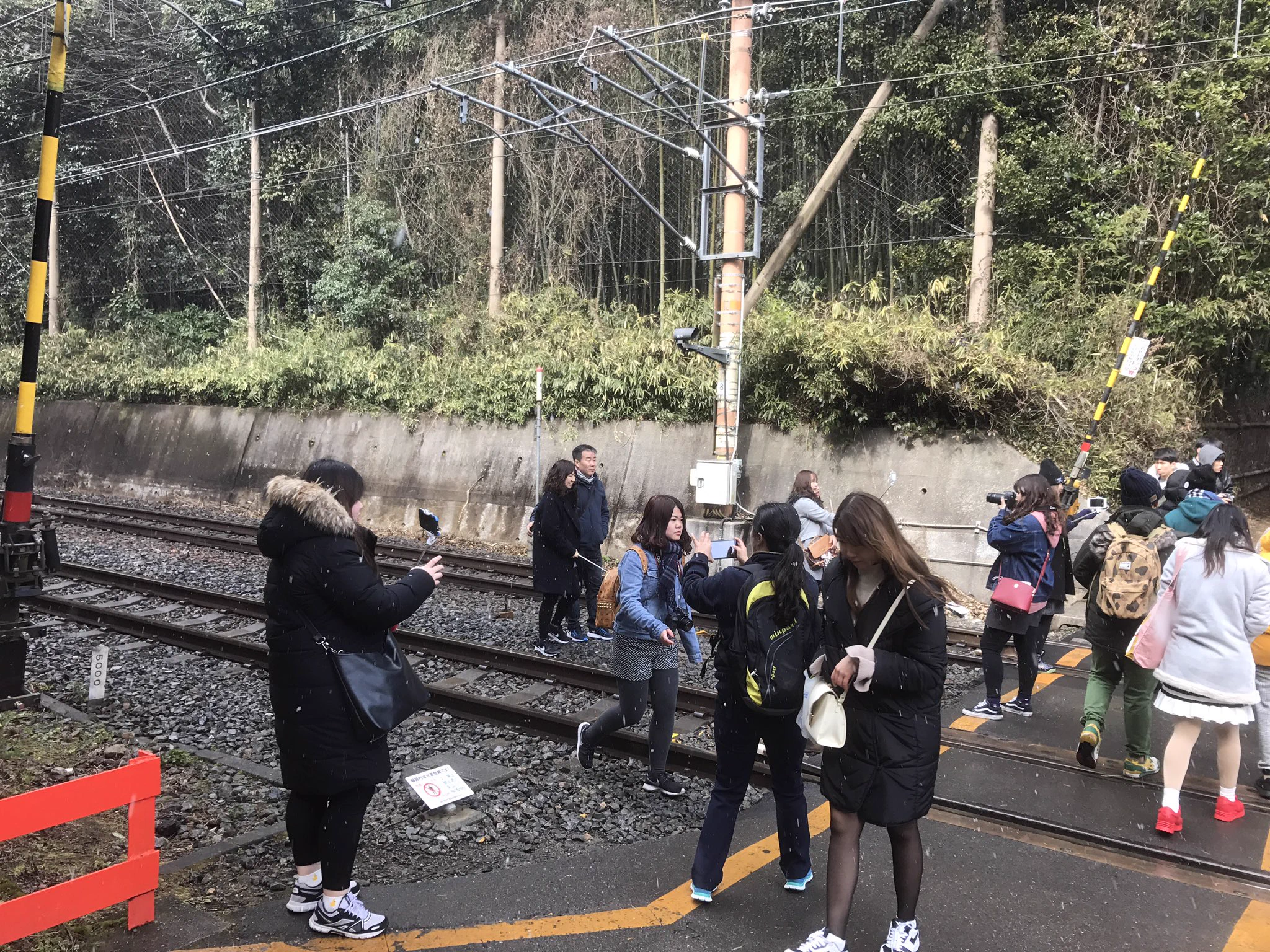 これはひどい…松本伊代が訪れた線路が酷いことになってる…