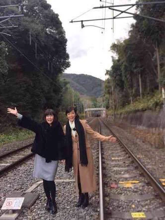 これはひどい…松本伊代が訪れた線路が酷いことになってる…