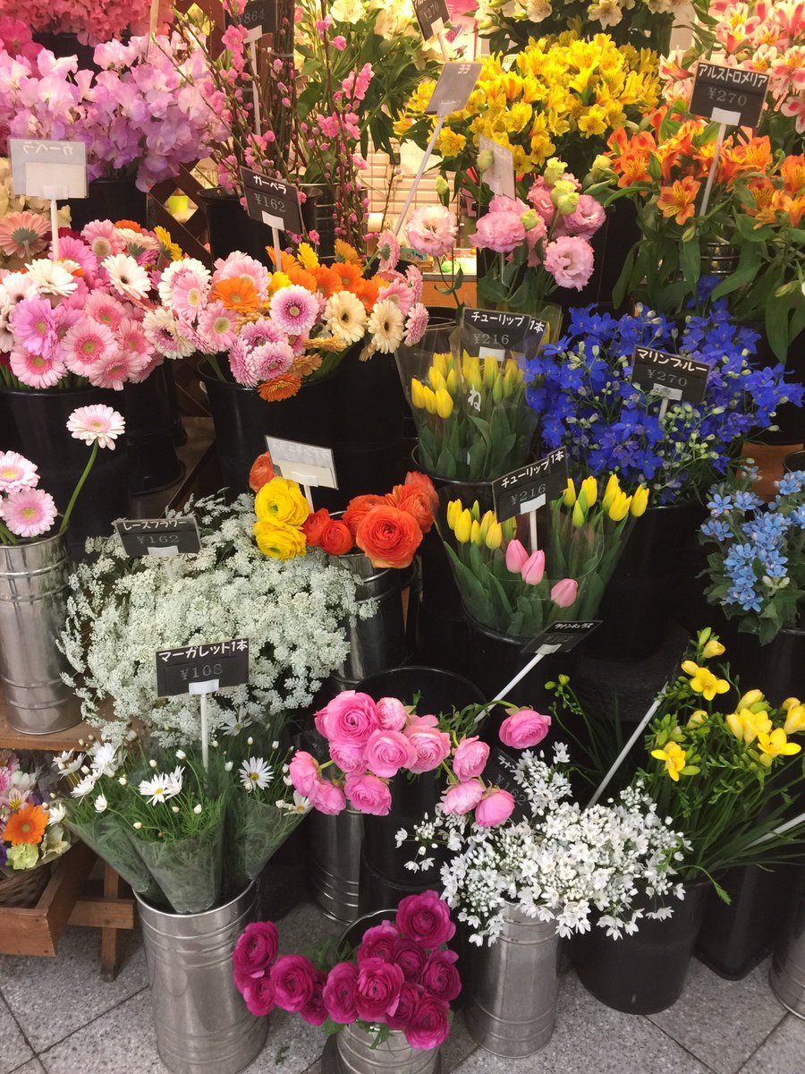 鍵井靖章 V Twitter 週末 大阪で 学生時代にバイトしていたお花屋さんへ 今は 昔ほどチューリップ の人気はないようで 今は ラナンキュラスやダリアが人気とのこと 昔は この時期 店頭は色とりどりのチューリップで溢れていたのに そんな移り変わりもあるので 鍵井靖章 V Twitter 週末 大阪で 学生時代にバイトしていたお花屋さんへ 今は 昔ほどチューリップ の人気はないようで 今は ラナンキュラスやダリアが人気とのこと 昔は この時期 店頭は色とりどりのチューリップで溢れていたのに そんな移り変わりもあるので