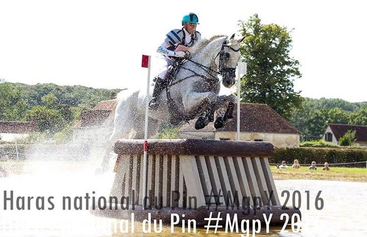 HoyEventing's tweet photo. Head over to my Instagram page @hoyeventing to see some great shots taken by @MgpYFrance at beautiful Haras du Pin @LeGrandComplet 2016 https://t.co/cOuvA3ocIk