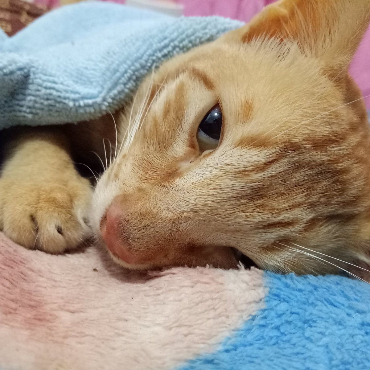 Its hurt Meng,please dunt leave me 😱😭😭😭😭😭