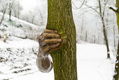 GratitudeDNA's tweet photo. มือทองเหลืองของศิลปินอิตาลีชื่อ Giuseppe Penone จับต้นไม้ต้นนี้มาตั้งแต่ปีค.ศ.1968 เกือบ50ปีผ่านไป…มือและต้นไม้ก็ยังคงอยู่ https://t.co/YS8ev77qyJ