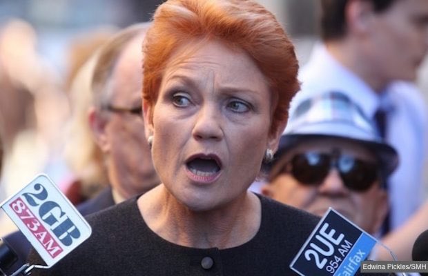 TheShovel's tweet photo. The terrorist attack that didn’t happen in Sweden could also not happen here, Pauline Hanson has warned https://t.co/g2f1pBb59q #auspol https://t.co/WcdJGqxdKF