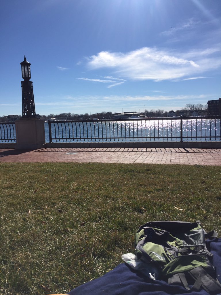 Here's what those of us not at #himss17 are doing today...