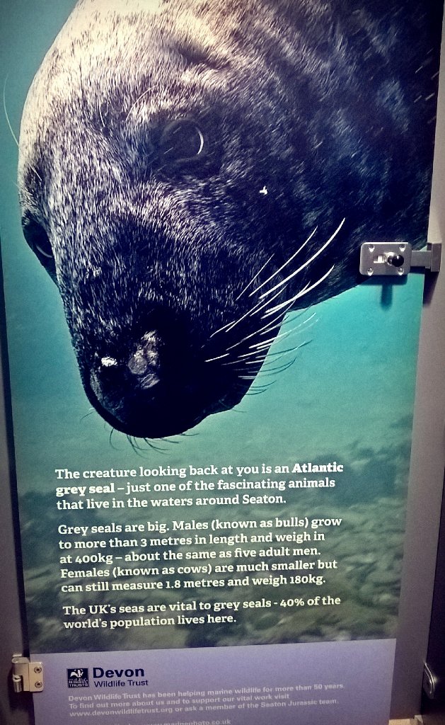 LisaBenton42's tweet photo. Taking photos of wildlife in toilet cubicles, isn't something I've done before @seatonjurassic #Devon #ImportantMsg https://t.co/BcjOWe270a
