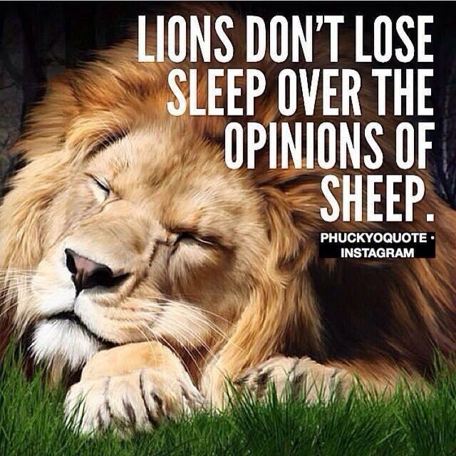 MingleMixx's tweet image. #pictime