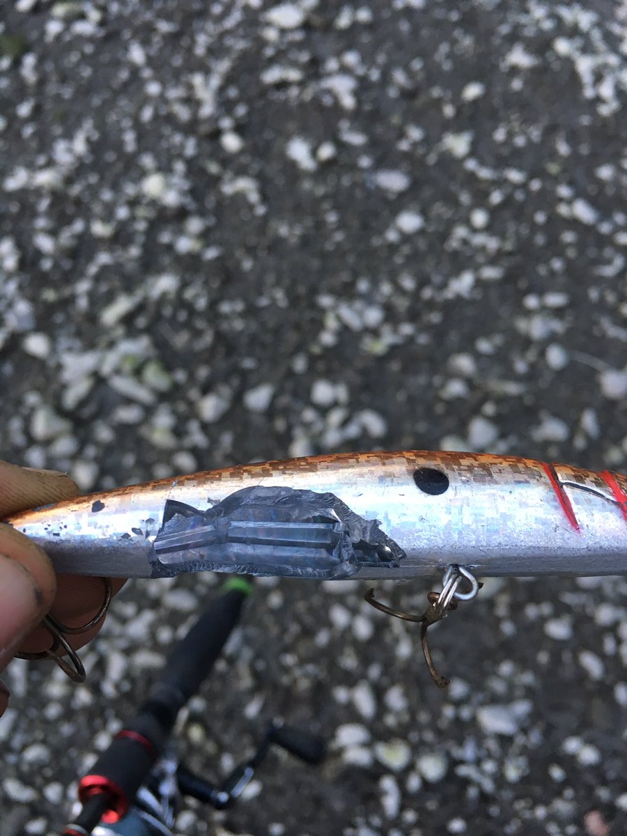 teamvip38's tweet photo. Lures is dead #fishing #fish #pêche #lures #TWD #Hardlures https://t.co/7FnkwX5w7w