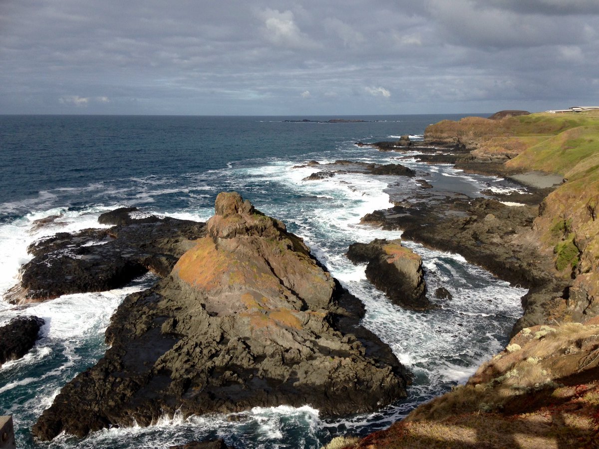 PIWalkabout's tweet image. Walking in the morning shines a whole new light on my arvo walks...